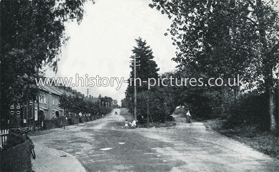 Naze Park Avenue, Walton on Naze, Essex. c.1920's